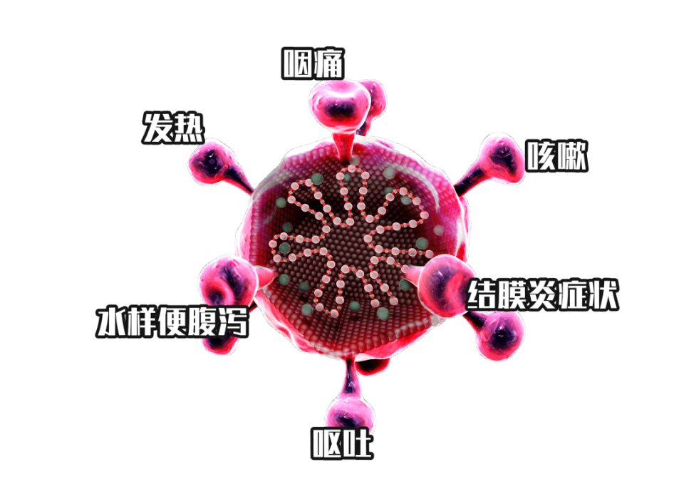 腺病毒感染高发期来临，预防与应对至关重要