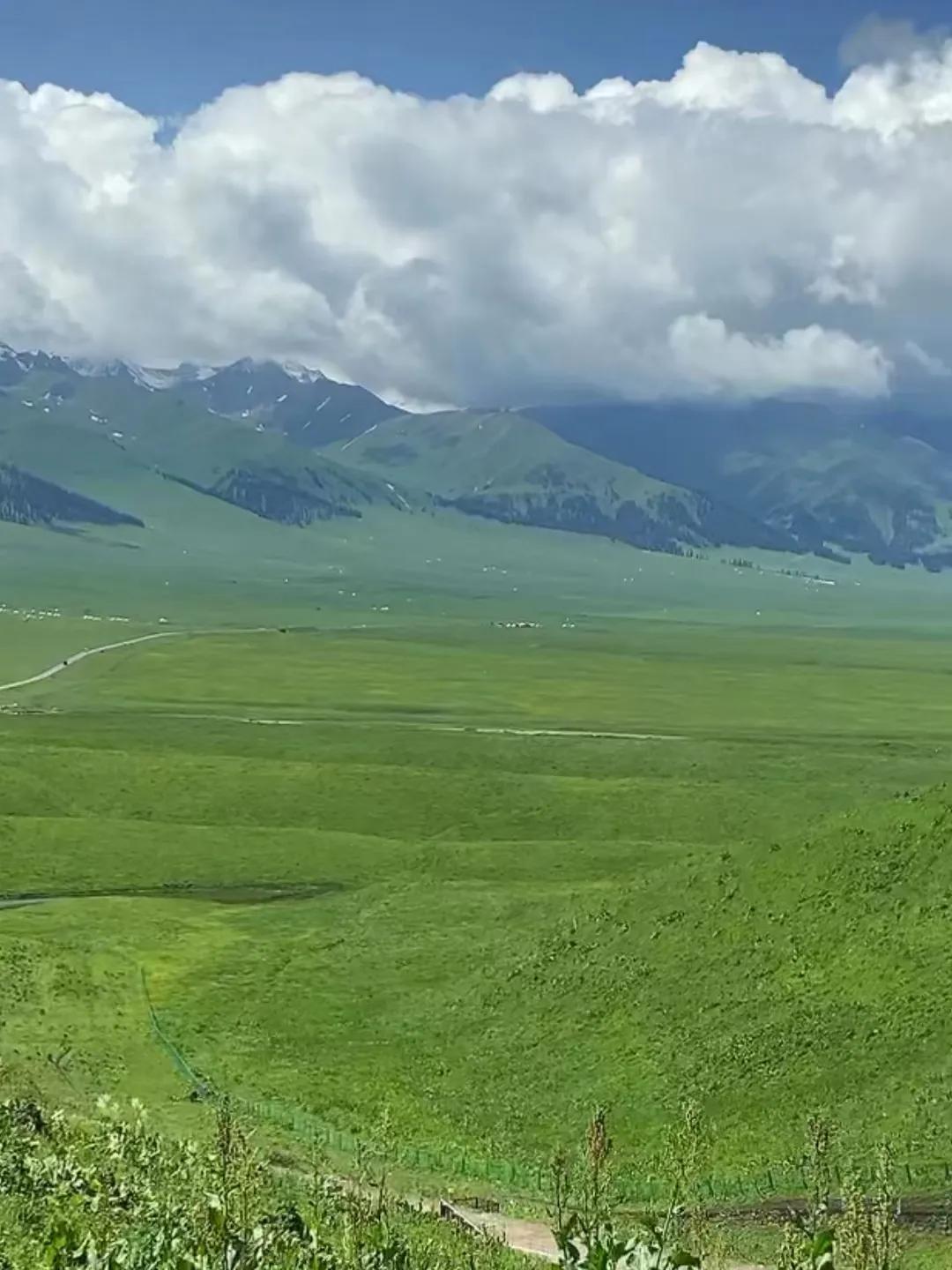 只此青绿，探寻极致美与生命韵律之旅