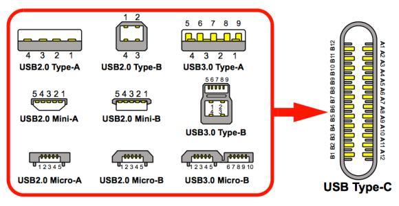 Type世界深度解析，定义、应用与多维理解探索