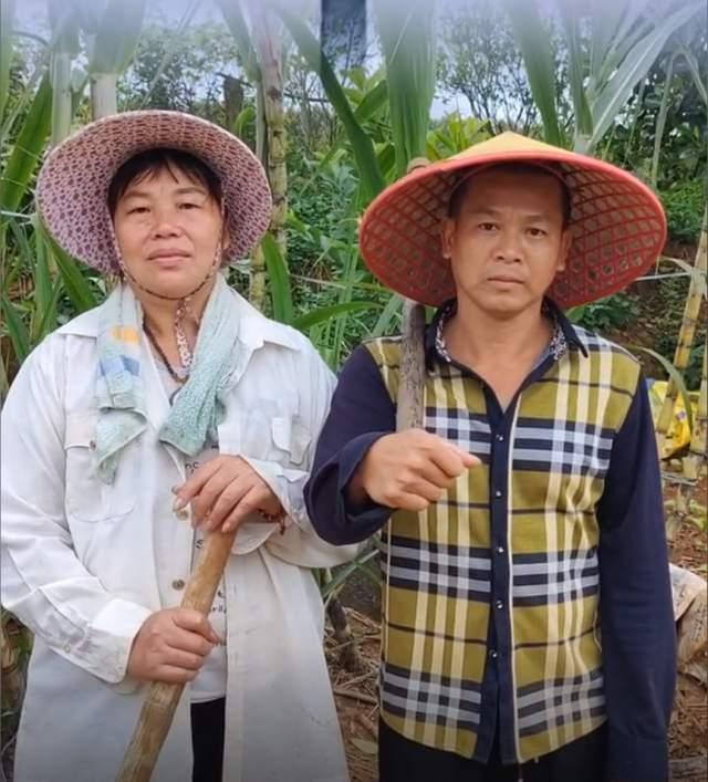 全红婵，跳水新星，体育界璀璨明珠闪耀光芒