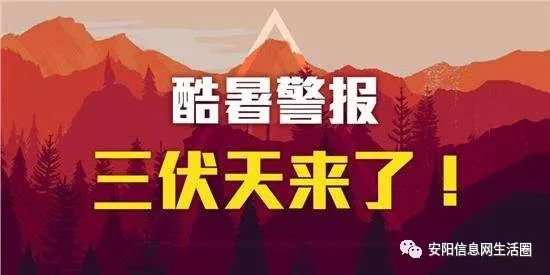 三伏天的魅力与挑战探索