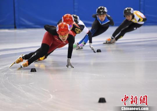 短道速滑中国杯精英联赛第五站热血开战，速度与激情的较量！