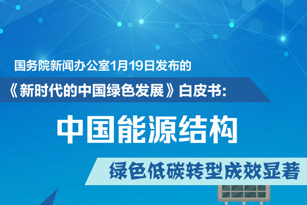 吕文斌谈中国能源转型成效与绿色未来展望