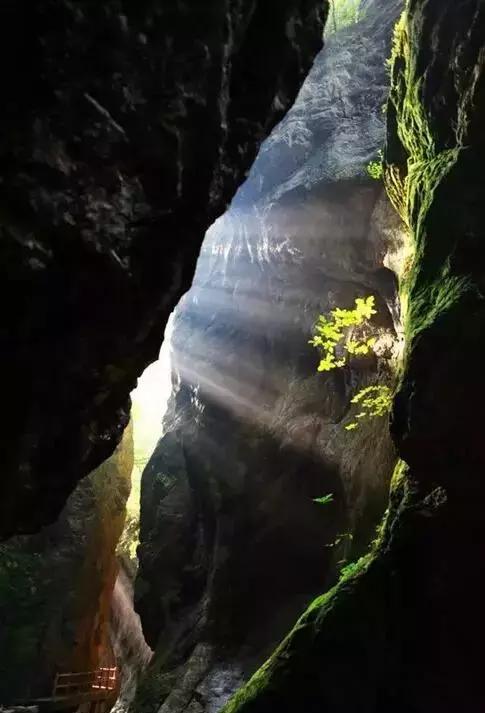 西安景区免门票传闻辟谣，真相与谣言的较量