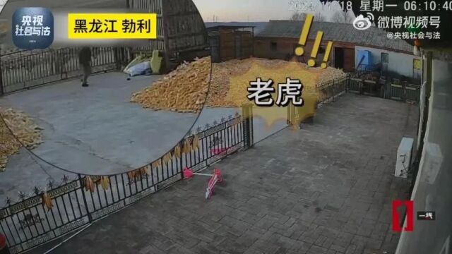 学生挂八科后失联溺亡事件引发对教育与人性缺失的深刻反思