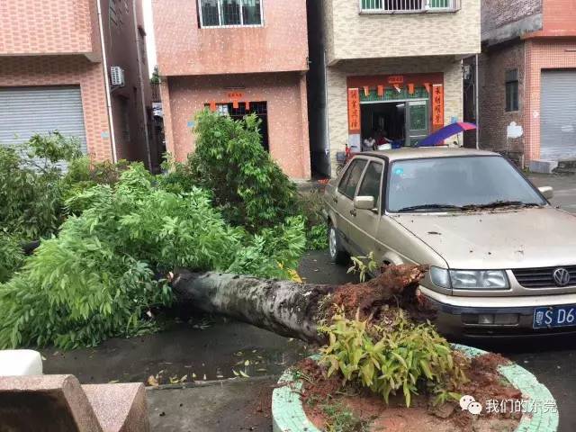 深圳某街道遭遇海水倒灌淹浸危机