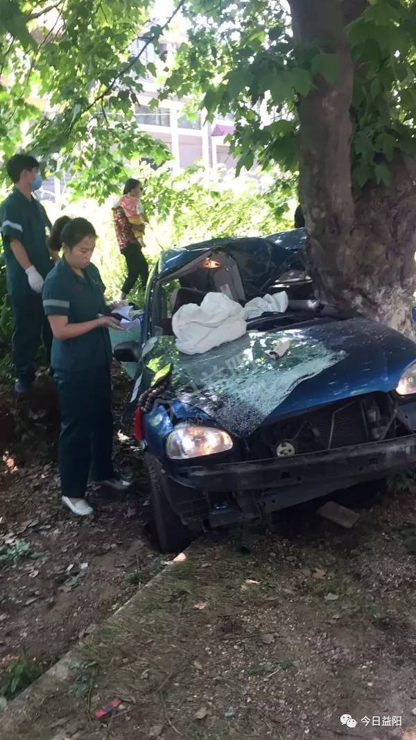 男子为骗保开车撞树当场身亡