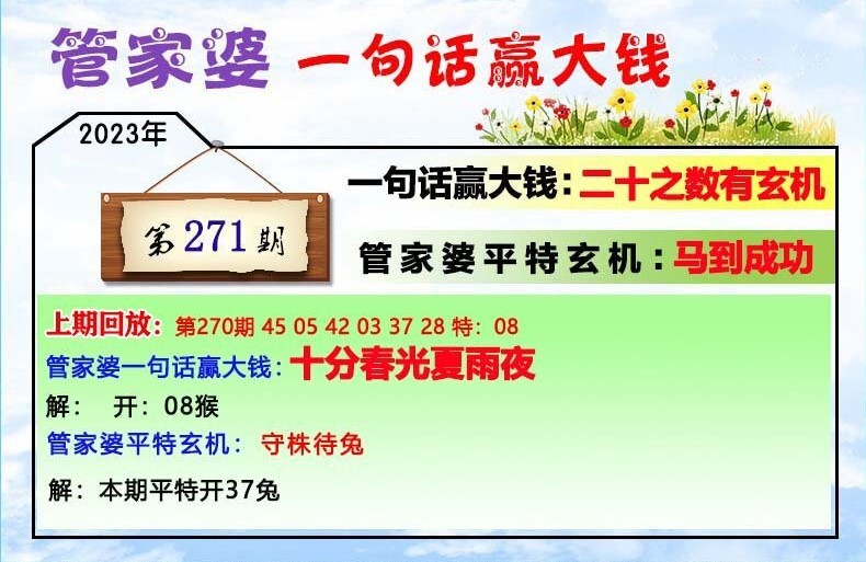 管家婆一肖一码100%,实地研究解释定义_顶级版34.602