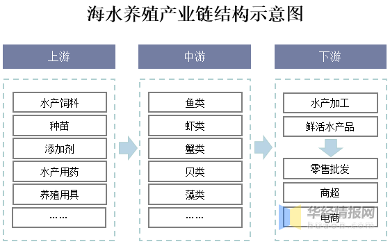 澳门最准最快免费资料,结构化推进评估_iPad57.840