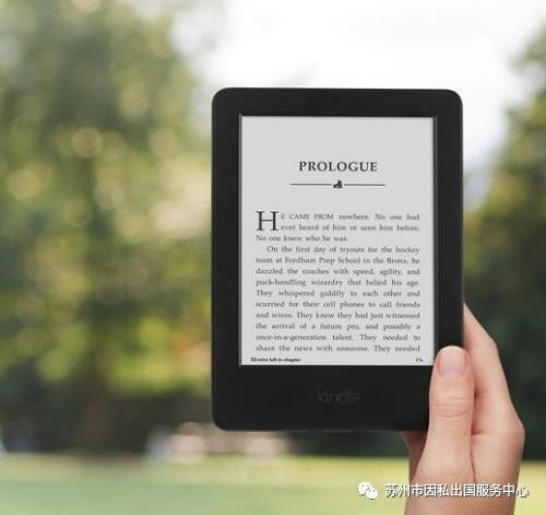 新澳天天开奖资料大全,实地分析解析说明_Kindle21.377