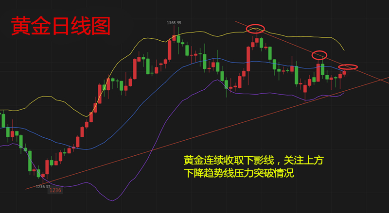 金凤凰高手论坛com,数据支持执行策略_Max72.238