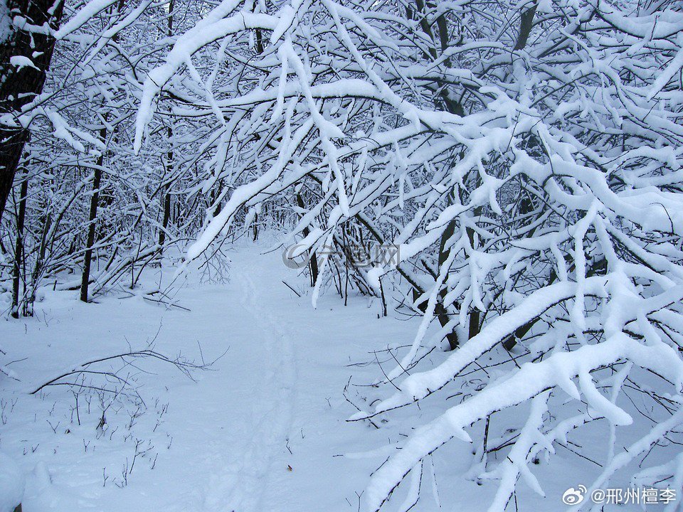 东北罕见气候现象，局部降雪量呈现紫色