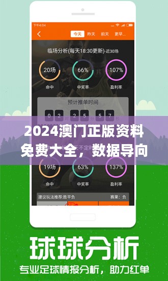 新澳2024年精准正版资料,深入解答解释定义_战略版25.147