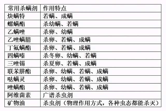 澳门内部资料一码公开验证,高效性策略设计_Gold24.304