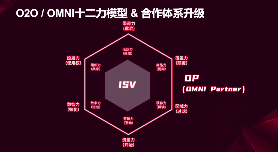 新澳精选资料免费提供,精细化执行计划_Holo70.345