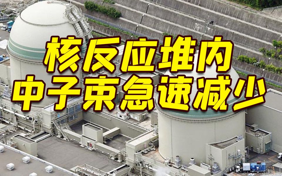 日本核反应堆紧急停止，事故原因及应对措施探究