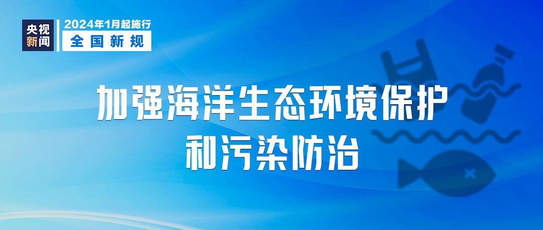 2024新澳门精准免费大全,快捷问题处理方案_AR53.109