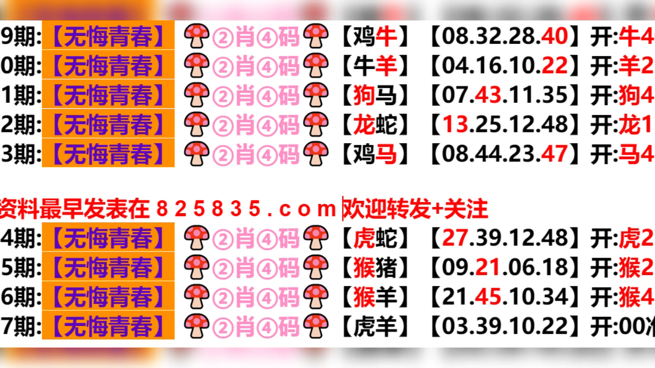 2024年新奥门天天开彩免费资料,实证解析说明_桌面版13.589